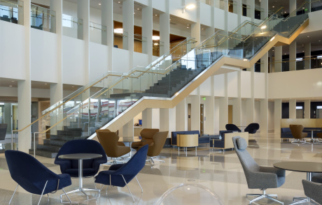 UT Dallas Brain Performance Institute